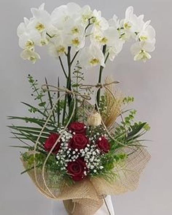 Özel Tasarım Çift Dal Beyaz Orkide